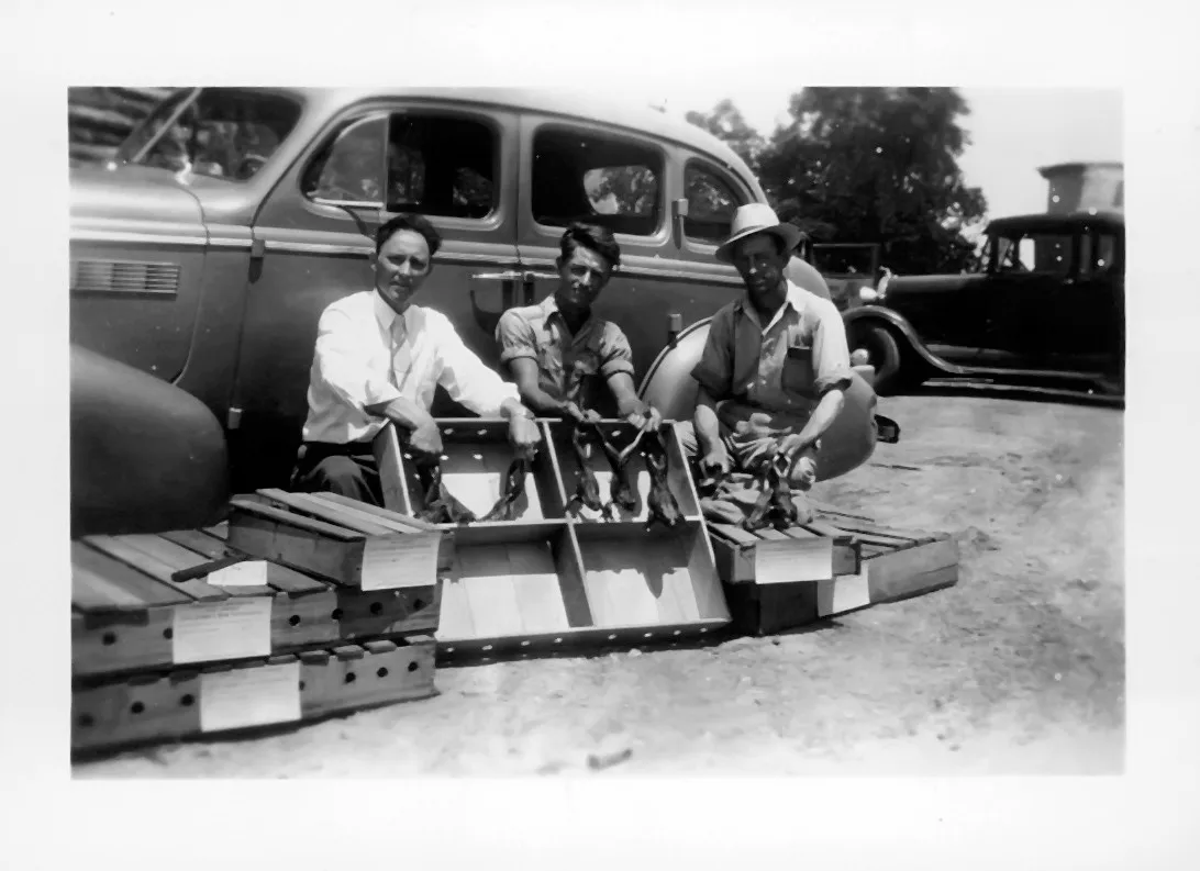 1930s Timeline Photo